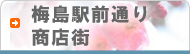 �~���w�O�ʂ菤�X�X